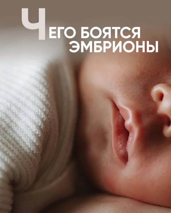 Чего боятся эмбрионы? Факторы, мешающие имплантации