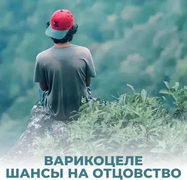 Варикоцеле и шансы на отцовство