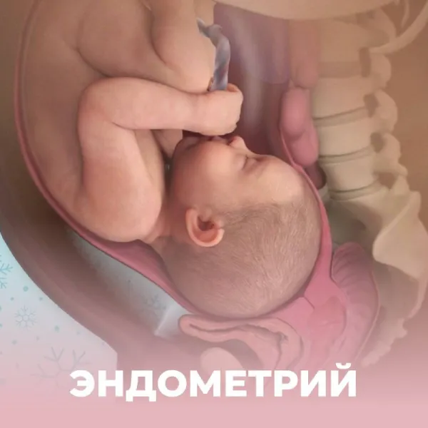 Маленькому эмбриончику должно быть уютно: что нужно знать об эндометрии
