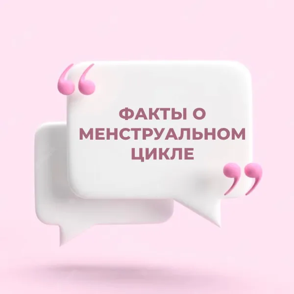 Факты о менструальном цикле, которые важно знать